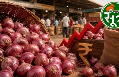 onion price hike lasalgaon mandi