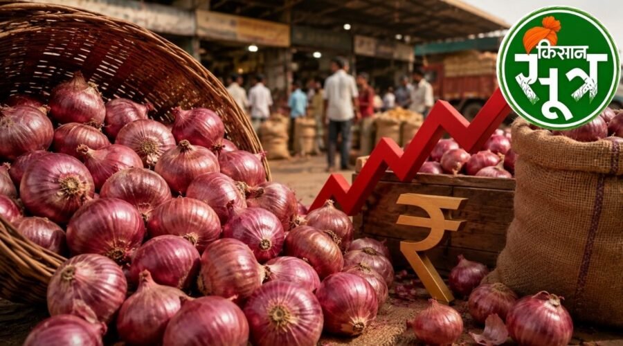 onion price hike lasalgaon mandi