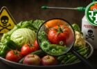 pesticide food safety crisis india