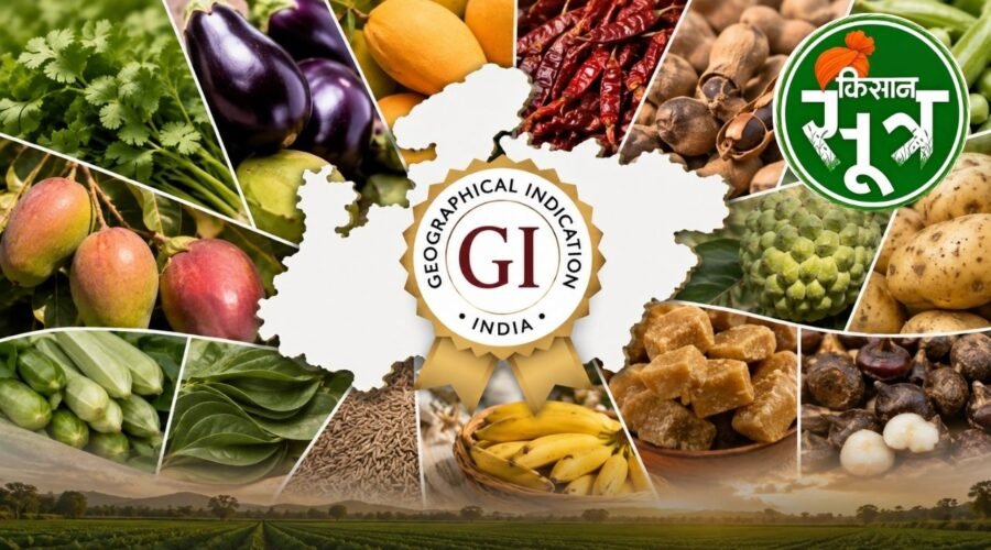 mp 12 horticulture-crops get gi tag
