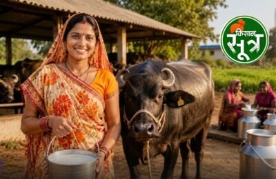 mukhyamantri-dairy-plus-yojana