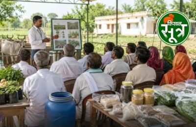 up farmers income wardha model