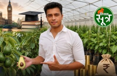 bhopal-harshit-godha-avocado-farming-success-story
