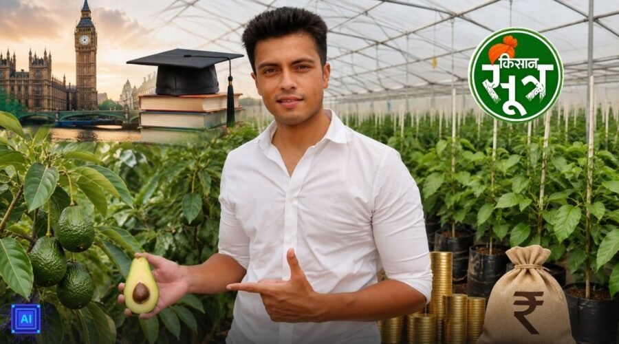 bhopal-harshit-godha-avocado-farming-success-story