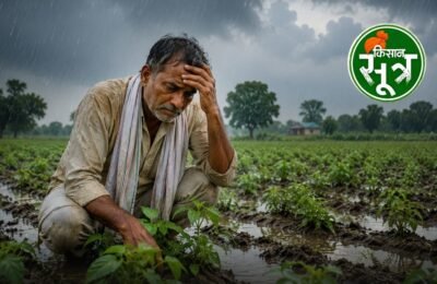 mp-cg-rajasthan-mausam-alert-update