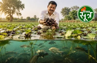 जबलपुर के किसान का नया प्रयोग