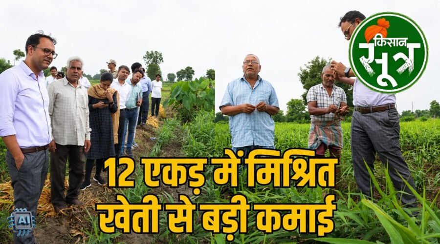 कटनी का किसान
