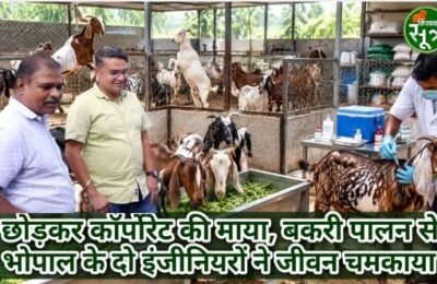 बकरी पालन