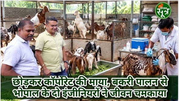 बकरी पालन