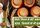 मिलेट मिशन
