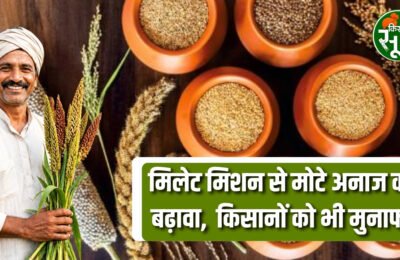 मिलेट मिशन