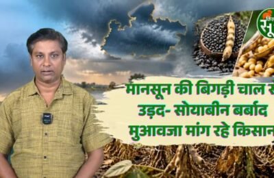 फसल बर्बाद