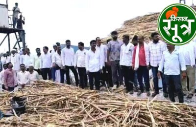 गन्ने का भाव