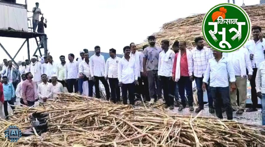 गन्ने का भाव