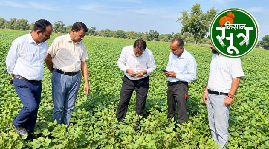 मोठ की नई किस्में