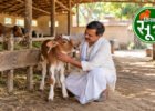 FMD बीमारी