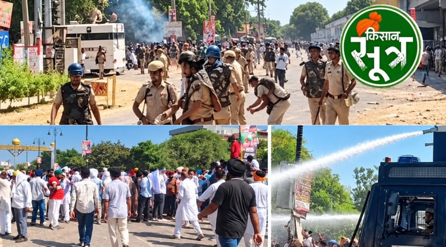 धान खरीद