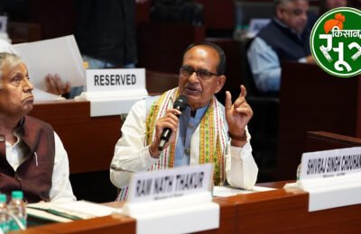 अनाज उत्पादन