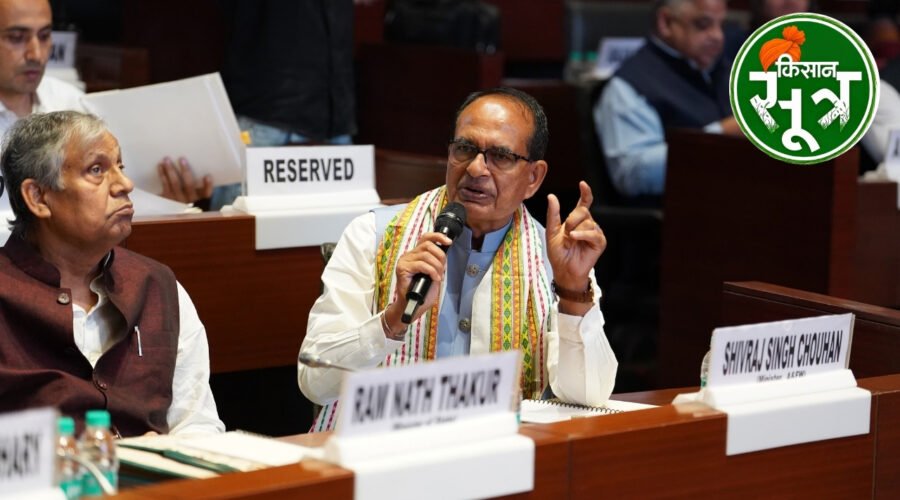 अनाज उत्पादन