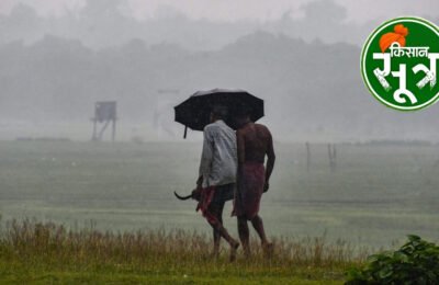 मौसम अपडेट
