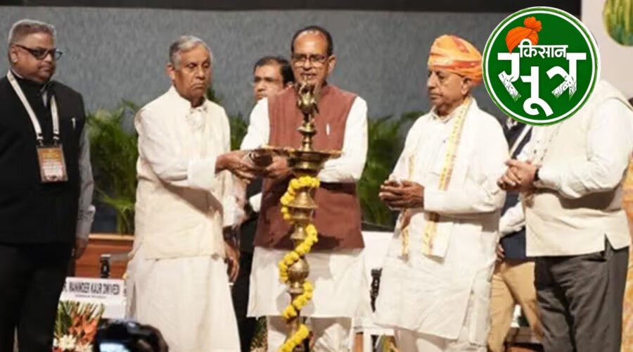 रबी सीजन