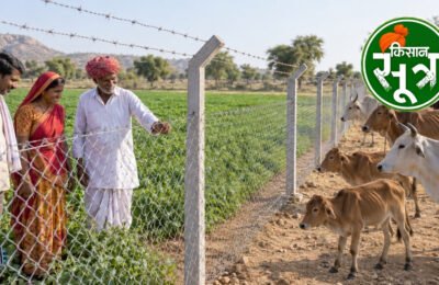 तारबंदी योजना