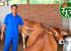 दूध उत्पादन