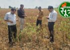 उज्जैन कृषि विभाग