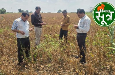 उज्जैन कृषि विभाग