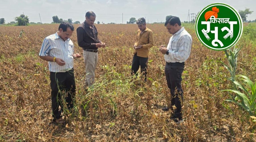 उज्जैन कृषि विभाग