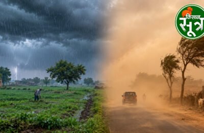 आज का मौसम