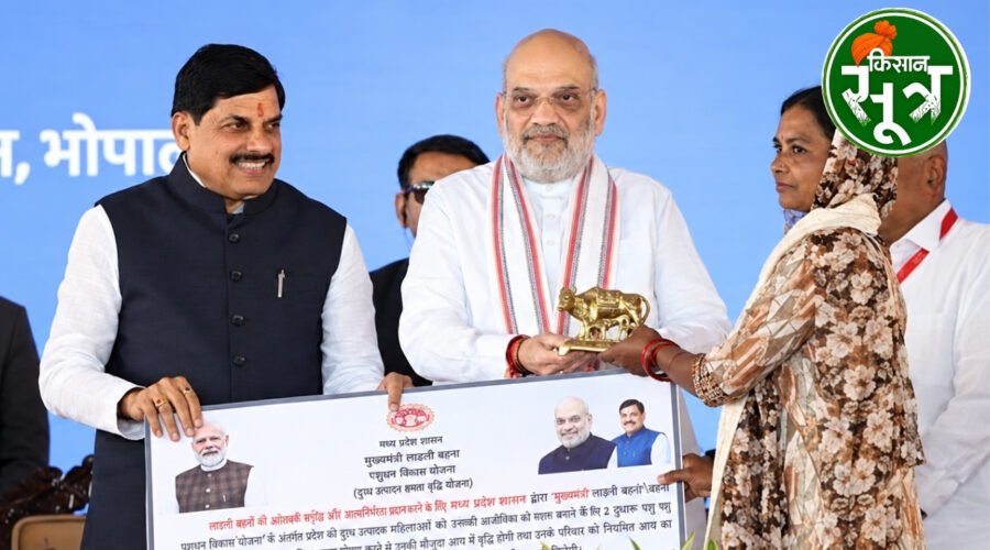 अमित शाह