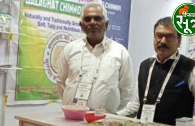 बालाघाट चावल