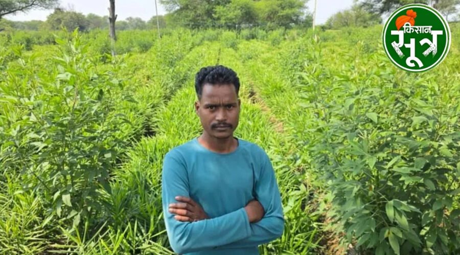अदरक अरहर
