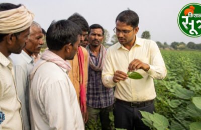 खेत बचाओ