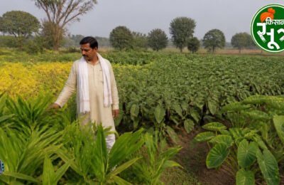 विनोद मौर्य