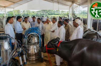 डेयरी मेला