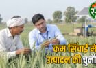 गेहूं की फसल