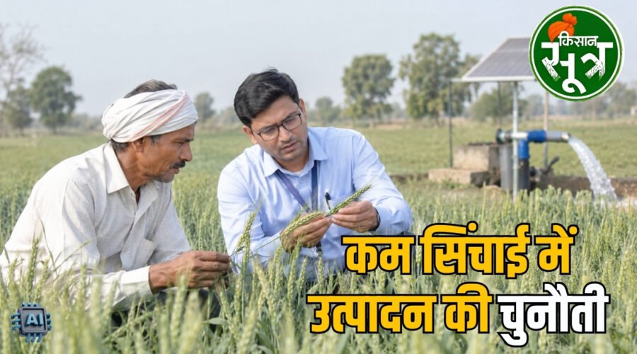गेहूं की फसल