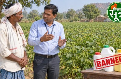 पैराक्वेट डाइक्लोराइड