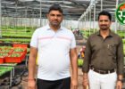संरक्षित खेती