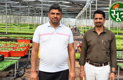 संरक्षित खेती