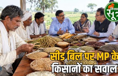सीड बिल