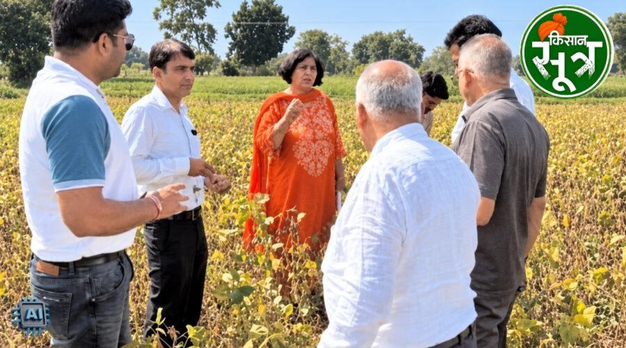 सोयाबीन की फसल
