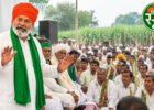 गन्ना भाव