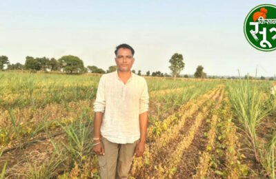 अंतरवर्तीय खेती