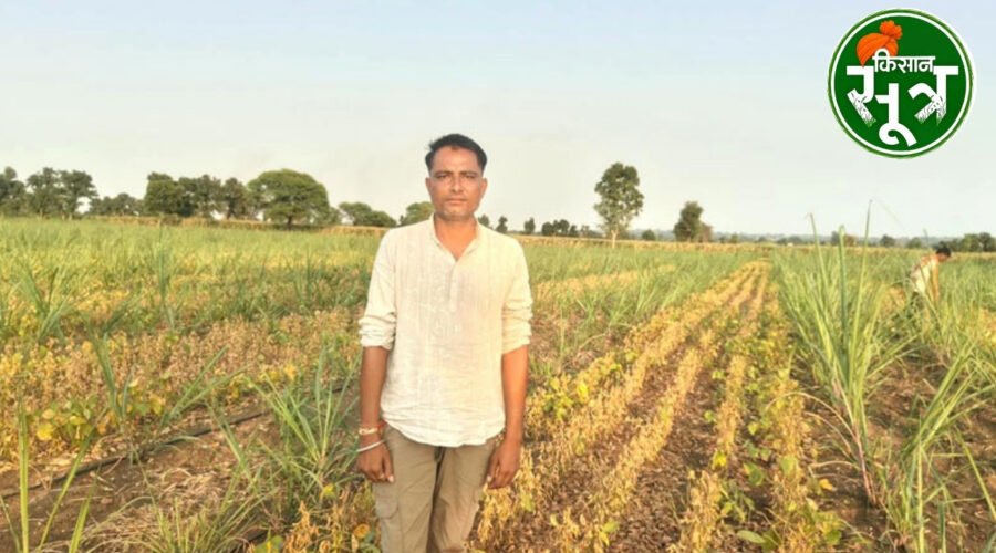 अंतरवर्तीय खेती