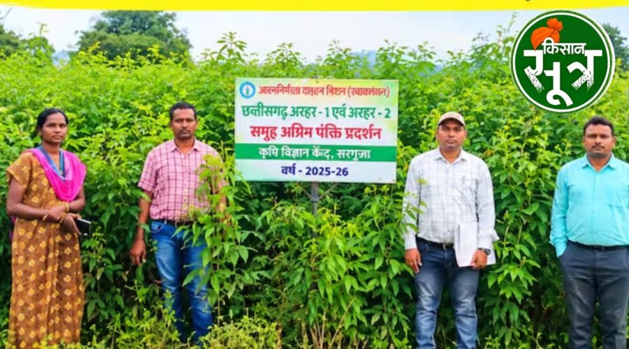 अरहर की किस्म